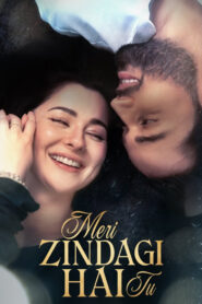 Meri Zindagi Hai Tu: Season 1