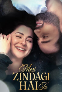 Meri Zindagi Hai Tu: Season 1